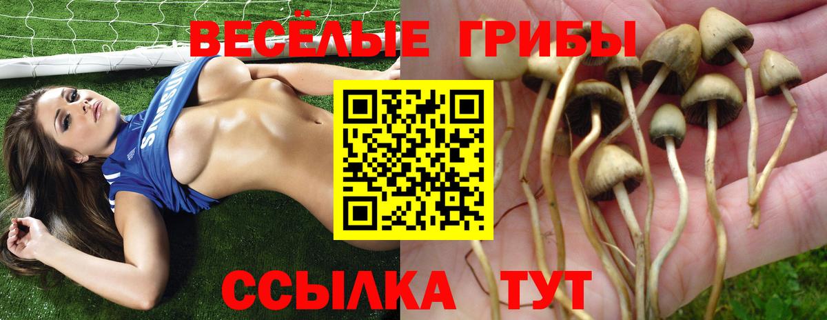 Мариинск  Псилоцибиновые грибы ЛСД  Вход с VPN  Галлюциногенные грибы мухоморы 